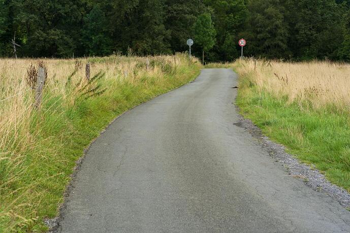 Narrow asphalt country road with speed limit signs in Germany
