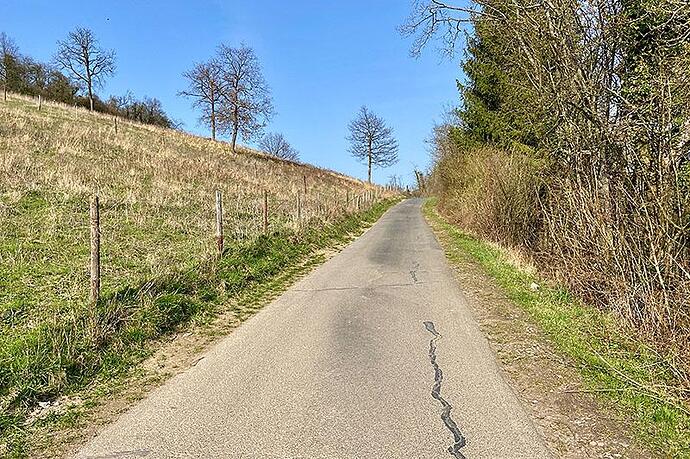 streckenprofil lt sv westum